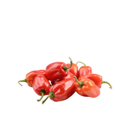 Pepper Habanero (ata rodo)