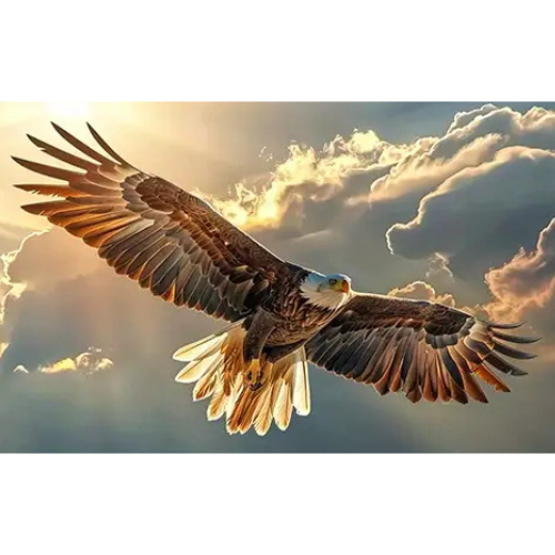 On Eagle's wings