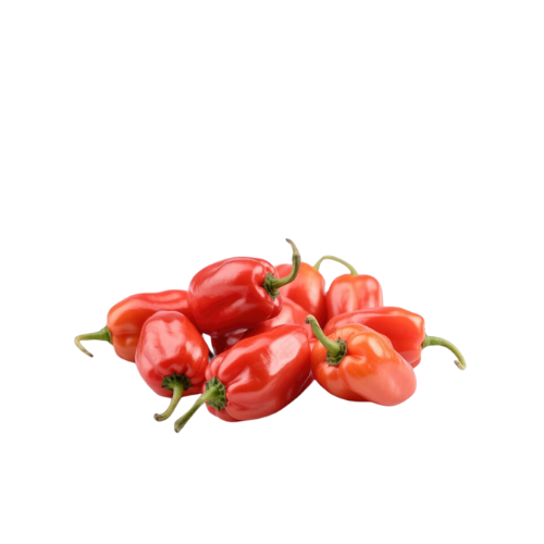 Pepper  Habanero (ata rodo)