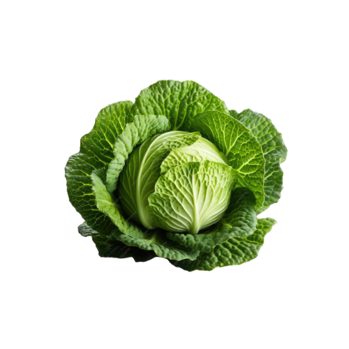 Cabbage