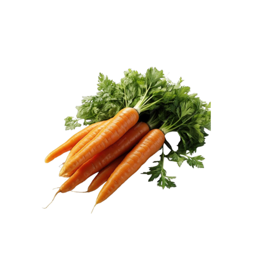 Carrot