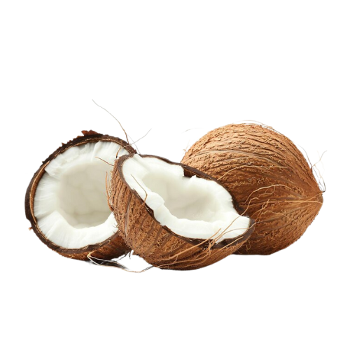 Coconut