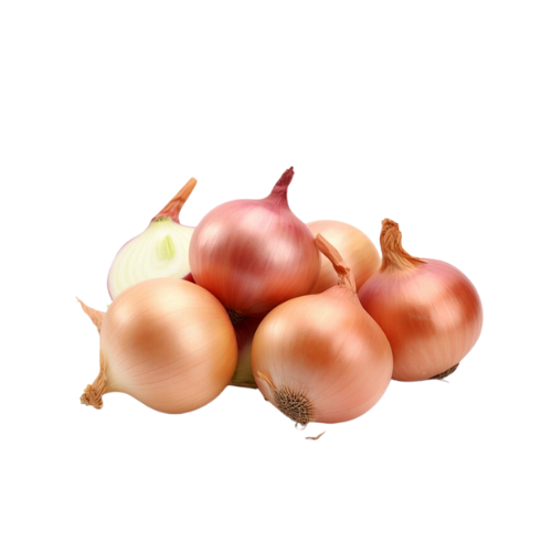 Onion