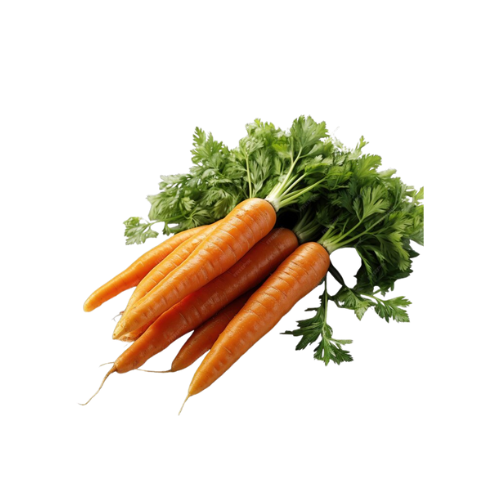 Carrot