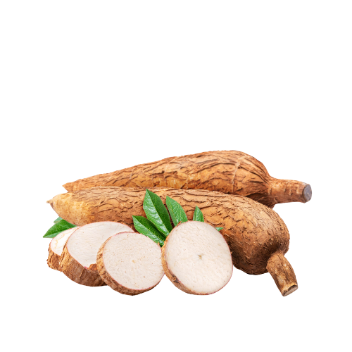 Cassava