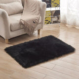 Carpet for Living Room, Indoor Area Rugs for Home. and Floor Mats for Bedroom Bedside, and Window Sofas.